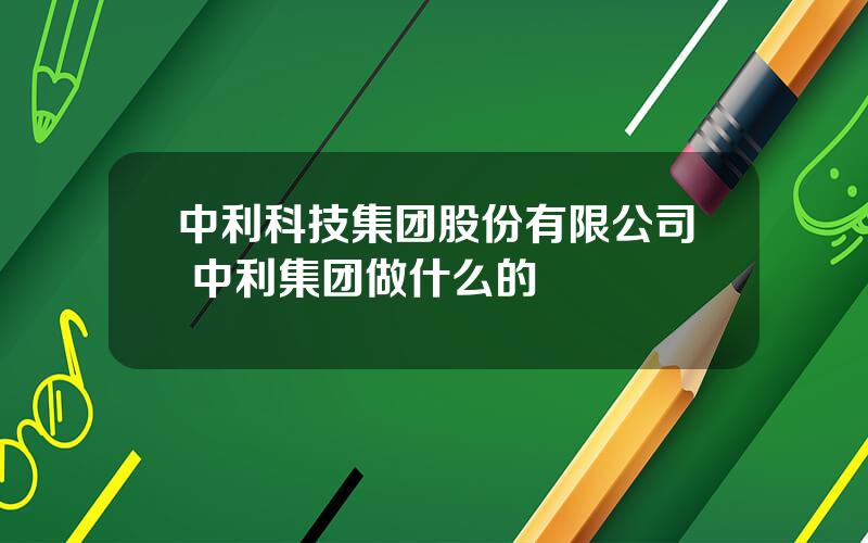 中利科技集团股份有限公司 中利集团做什么的